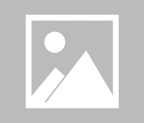 爱游戏在线-阿扎伦卡个人资料